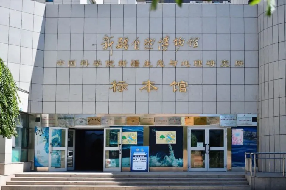 敏捷性训练对篮球比赛表现的影响及解决方案_0